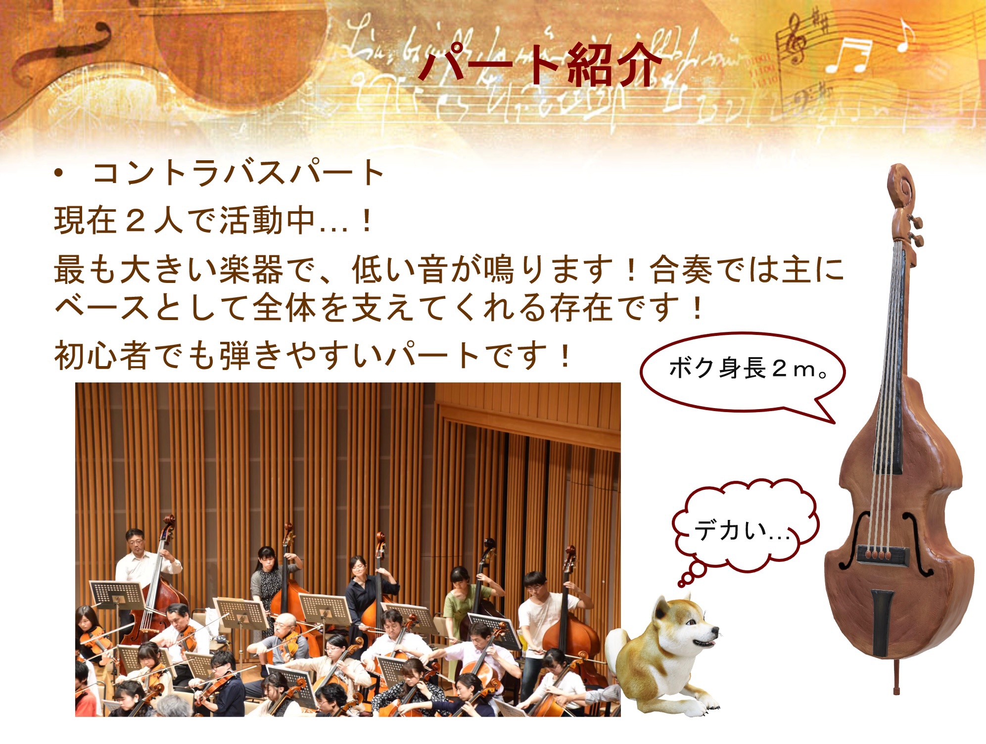 9枚！名曲・秘曲が大集合vol2コントラバス奏者必聴！コントラバス入りの室内楽 新発売】 9枚！名曲・秘曲が大集合vol2コントラバス奏者必聴