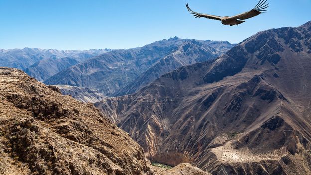 We're visiting Colca Canyon on the Colca River in my thread today. It is the third most visited location for tourists in Peru, many of whom come to see the Andean Condors which live in the canyon. There's also caves in the Colca Valley with paintings & carvings that date back....