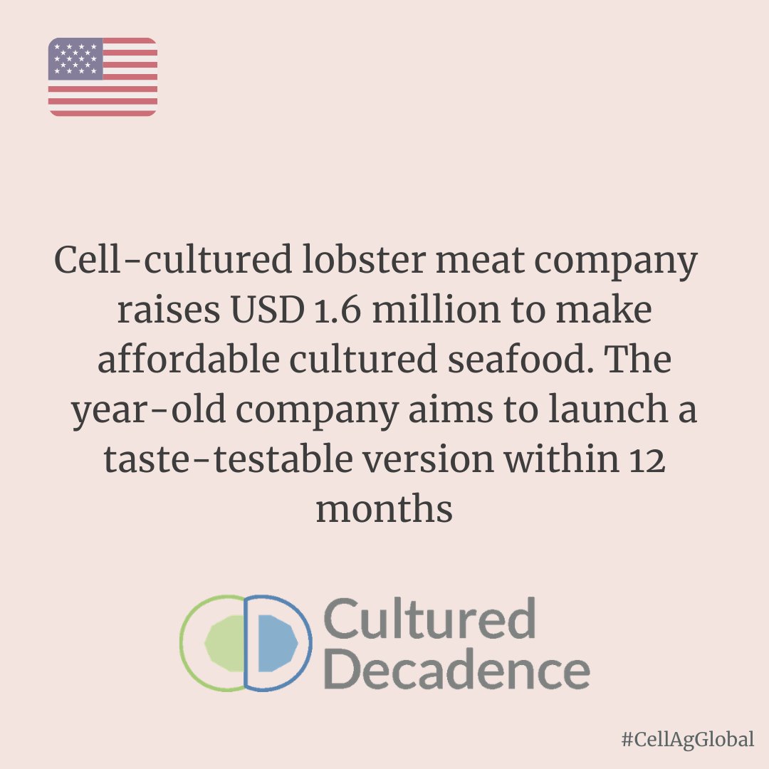 CellAgAustralia's tweet photo. .@CulturedLobster is developing cultivated crustaceans to s(h)ell ๐ฆ!
@john_z_pattison #CellAgGlobal #CellularAgriculture #CellAg #CulturedMeat #CultivatedMeat #Aquaculture #Lobster #Seafood #Crustacean #SavetheOceans #CulturedDecadence #NoShellsMoCells ๐ https://t.co/luPkiVEEHm