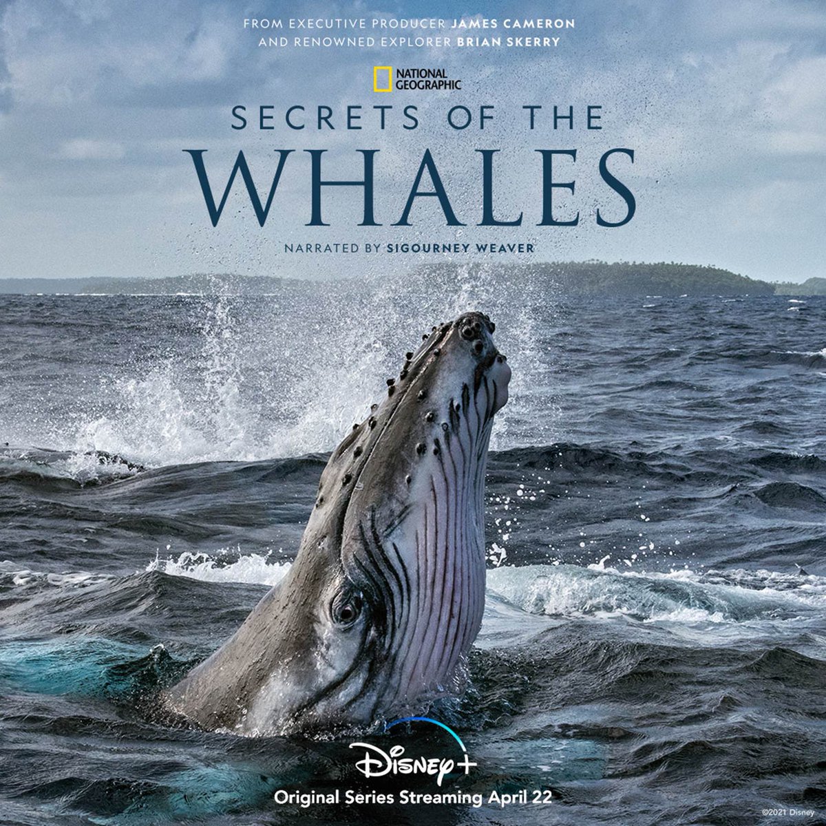 Just finished watching a screening of Secrets of the Whales. It’s fantastic and made me fall in love with Whales all over again! Check it out April 22nd on Disney Plus! ⁦@disneyplus⁩ #NationalGeographic ⁦@NatGeoTV⁩ #JamesCameron #BrianSkerry