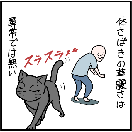 思わず見惚れてしまうほど・・・w
#ニャンコ  #まんが #マンガ #猫  #ねこ #猫あるある #猫漫画 #ペット #飼い主 #エッセイ漫画 #キャット #ねこのいる生活 