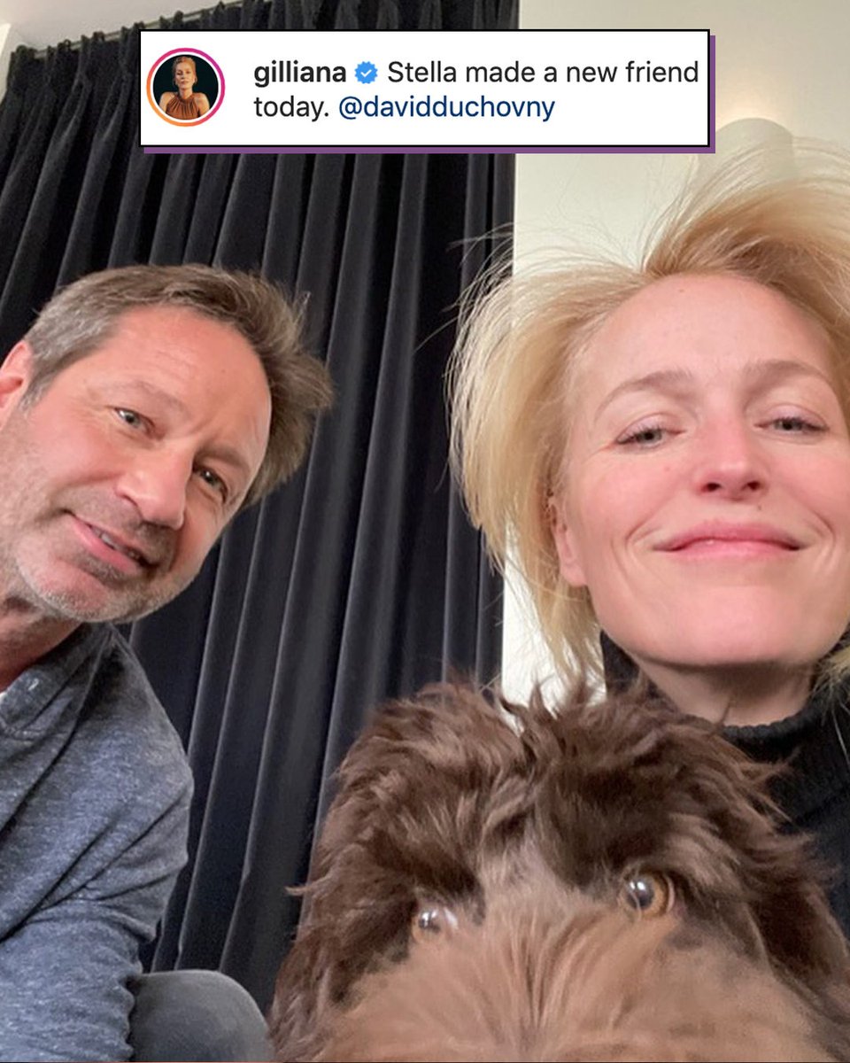 enews's tweet photo. Two X's we love to see reunite. (📷: Getty/@gilliana) https://t.co/FkGpmyzQ9Y