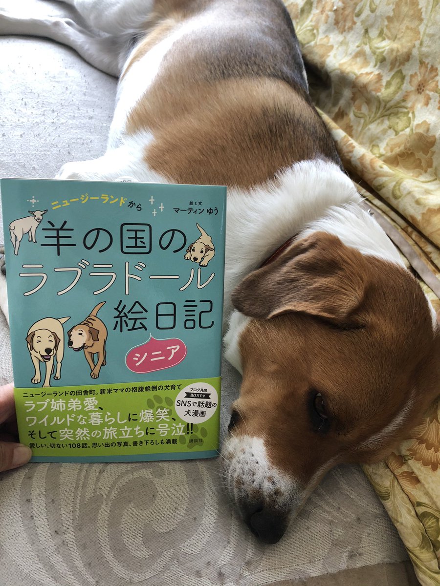 羊の国のラブラドール絵日記 Twitter Search