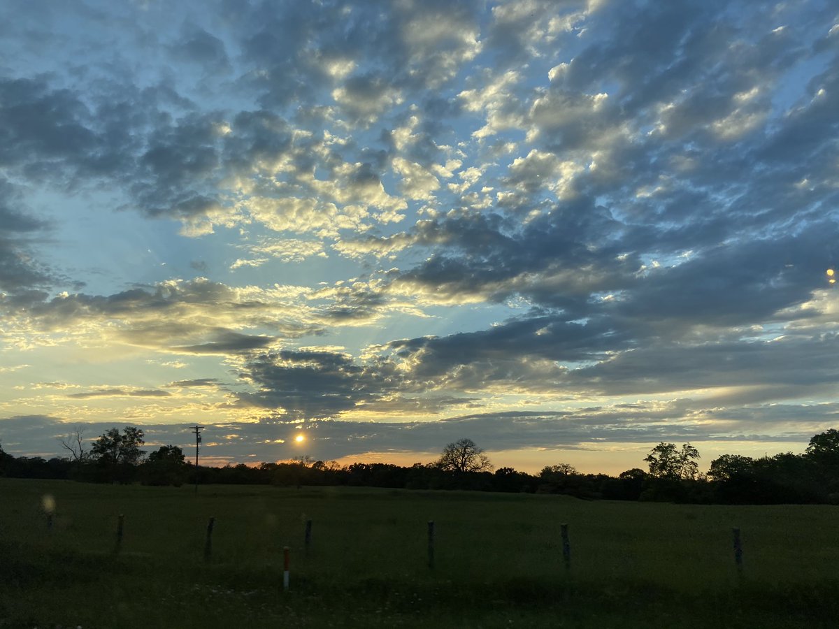 Heather Falls tweet media