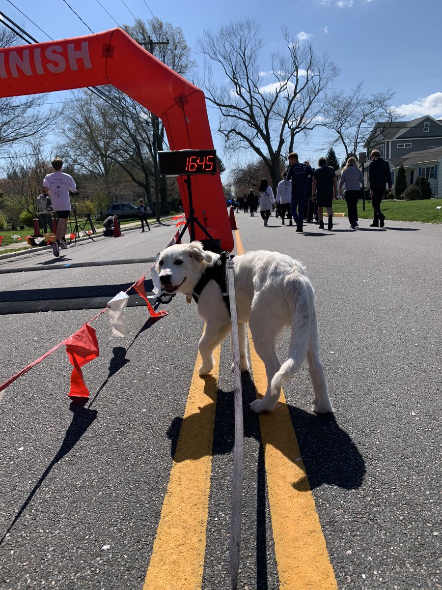 Alli Mandelbaum (@allimandelbaum) on Twitter photo Such a fun day for an amazing cause! Great job <a href="/MOFFCOrg/">Monmouth Ocean Foundation for Children</a>! #thefutureofblue @jennifer_zona
newjersey.news12.com/brielle-hosts-… Such a fun day for an amazing cause! Great job <a href="/MOFFCOrg/">Monmouth Ocean Foundation for Children</a>! #thefutureofblue @jennifer_zona
newjersey.news12.com/brielle-hosts-…