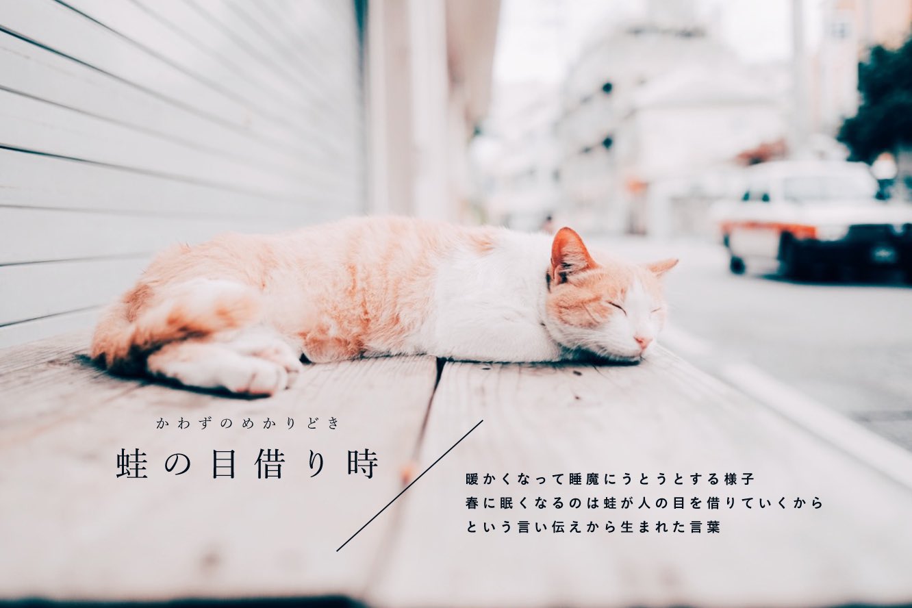 Twitter 上的古性のち 暖かな今日は 蛙の目借り時 T Co Fncsqhhyxh Twitter