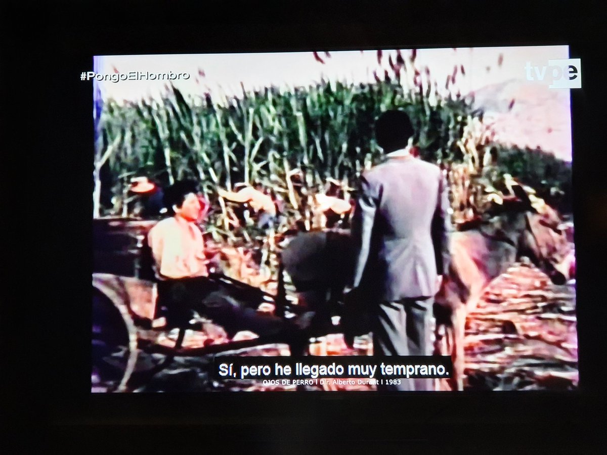 jmore1010's tweet photo. Hoy es domingo y día de ver La Revolución y la Tierra 📽 https://t.co/vDVneFbW3t