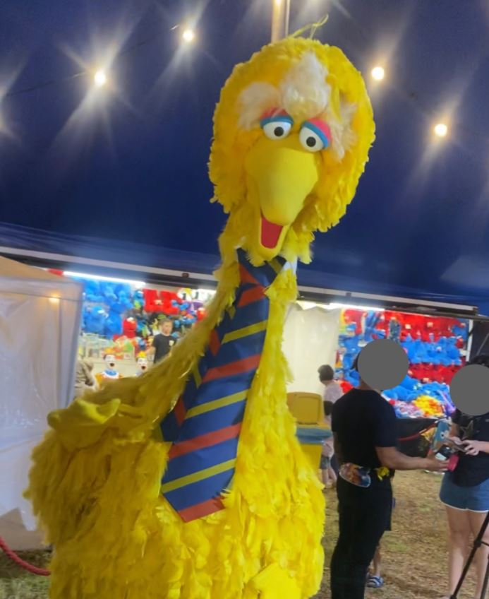 Sometime between 4.30pm Sunday 18 and 9.30am Monday 19 April a large yellow ‘Big Bird’ costume was stolen from the Circus area. Feathers were spotted nearby on Port Road. Anyone who has information about the theft is asked to contact police - you can remain anonymous.