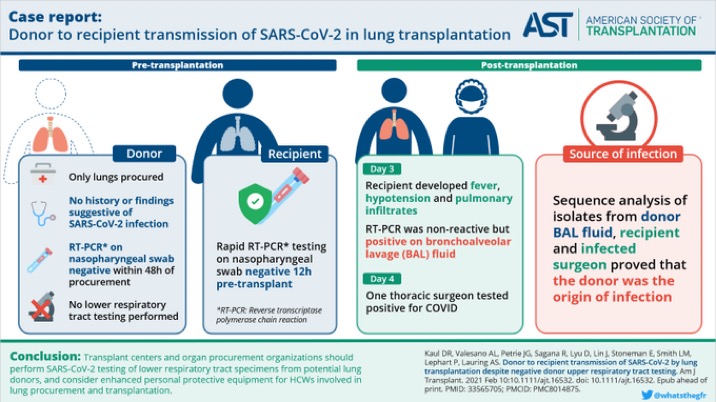 Amazing #VisualAbstract by @whatsthegfr for our next #ASTTYF twitter JC !

📝 Reported Donor to recipient transmission of #SARS_CoV_2.
@maricar_malinis @shwetanjan @Rahul_PharmD will discuss @UNOSNews guidelines for organ recovery in the #SARS_CoV_2 era. 
Mon, April 26th 
8 PM ET