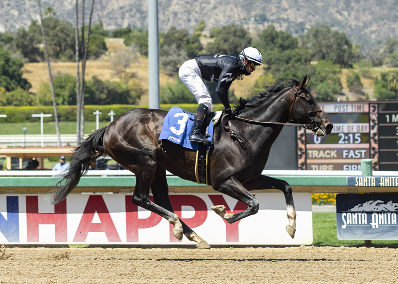 LauraLock10's tweet photo. Tizamagician takes the Tokyo Cup. #Tizamagician Thanks #TeamMandella @MandellaGary #FlavienPrat @cambra_taylor Photos of Tiz by Benoit, Photo of Cup by @CourtneyPoole00 https://t.co/aiMNREL7hA