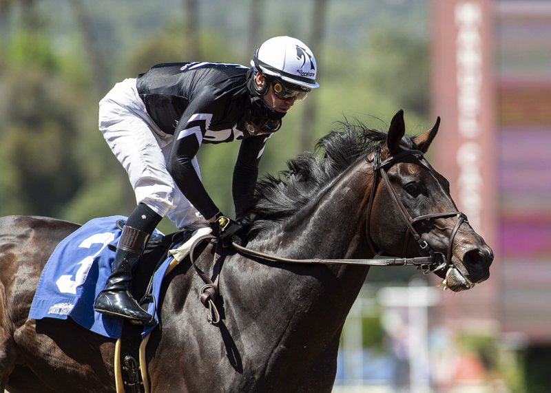 LauraLock10's tweet photo. Tizamagician takes the Tokyo Cup. #Tizamagician Thanks #TeamMandella @MandellaGary #FlavienPrat @cambra_taylor Photos of Tiz by Benoit, Photo of Cup by @CourtneyPoole00 https://t.co/aiMNREL7hA