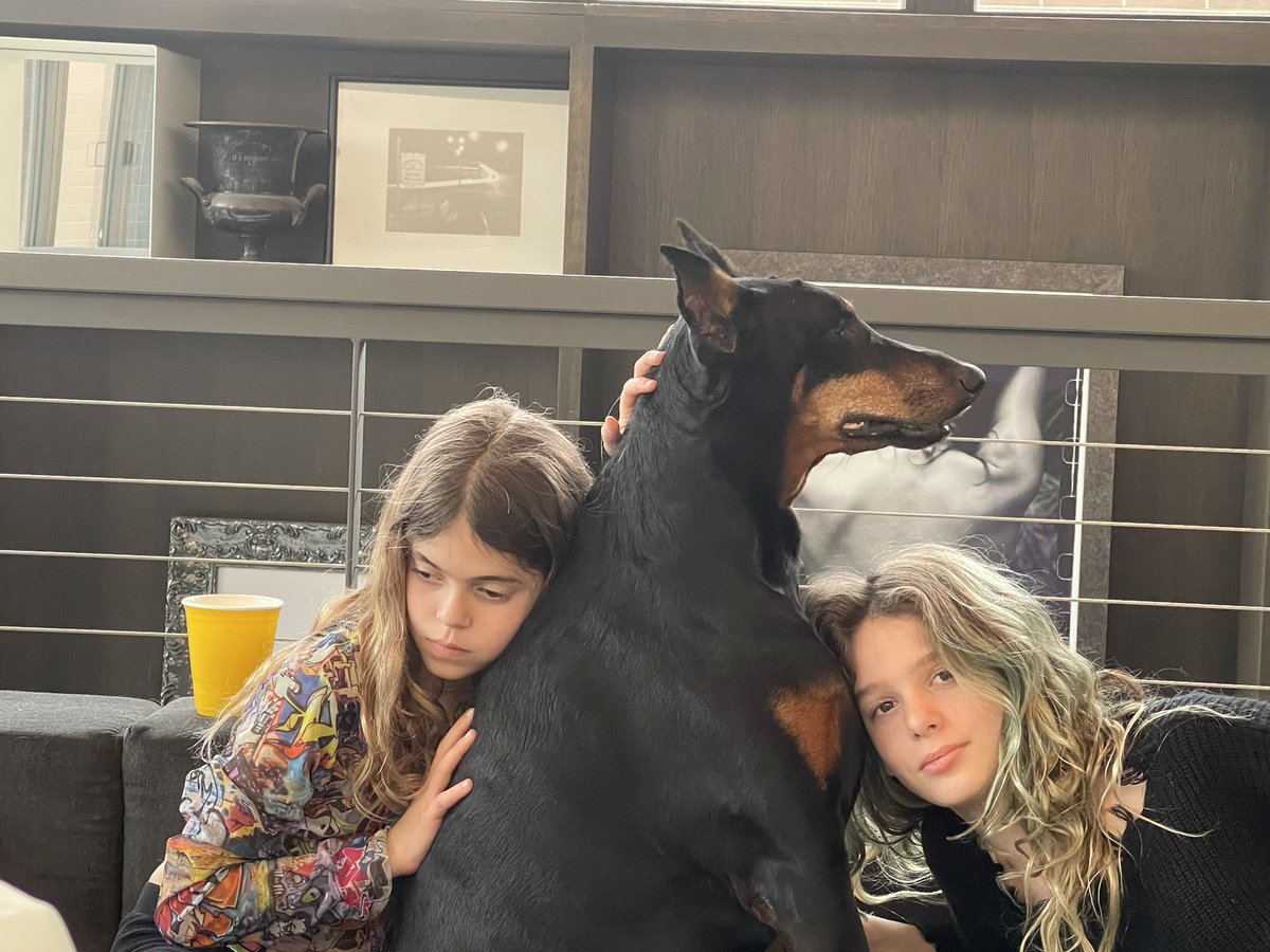 Bethany McLean tweet media