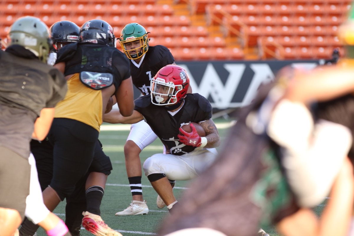 Grant Shishido tweet media