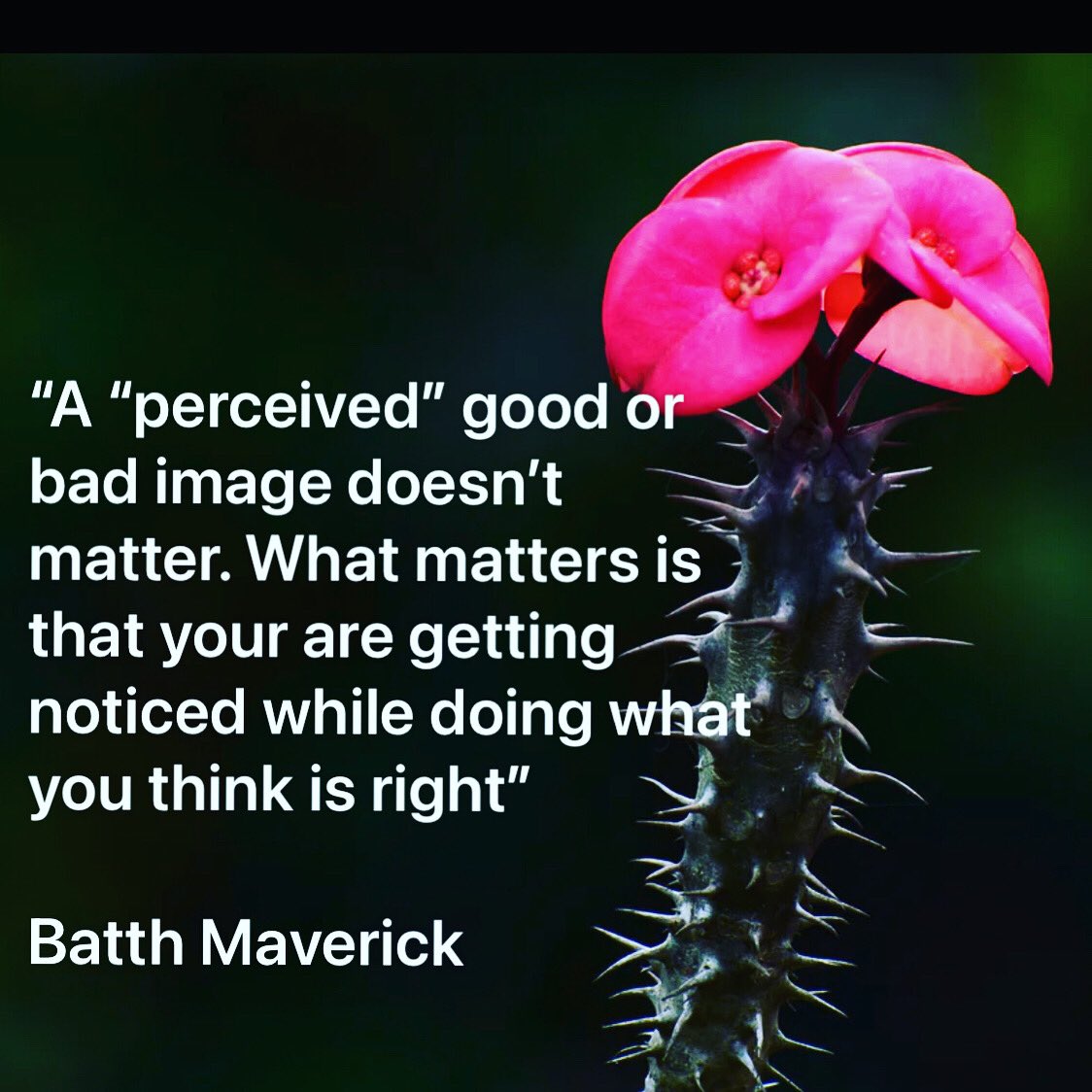 BatthMaverick's tweet photo. themaverickcoach #lifecoaching #leadership #inspirationalleader #healthcoaching

Being Maverick Life Coaching:

https://t.co/ckCkcKT8tc

https://t.co/P0LzAM5pMf https://t.co/qWdvJeHs0D