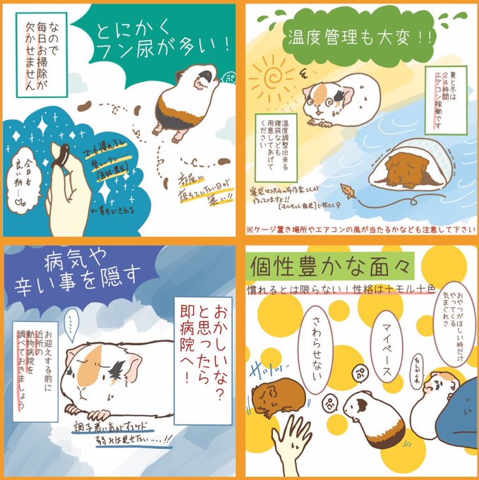モルモット可愛いのtwitterイラスト検索結果 モルモット可愛いのtwitterイラスト検索結果