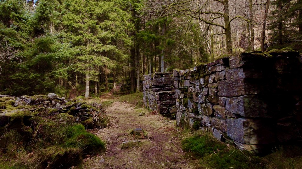 I found these old stone walls on a hiking trip.
Photo: Karsten Lindanger
#hiking #hikinginnorway #relaxingmusic #søreåsen