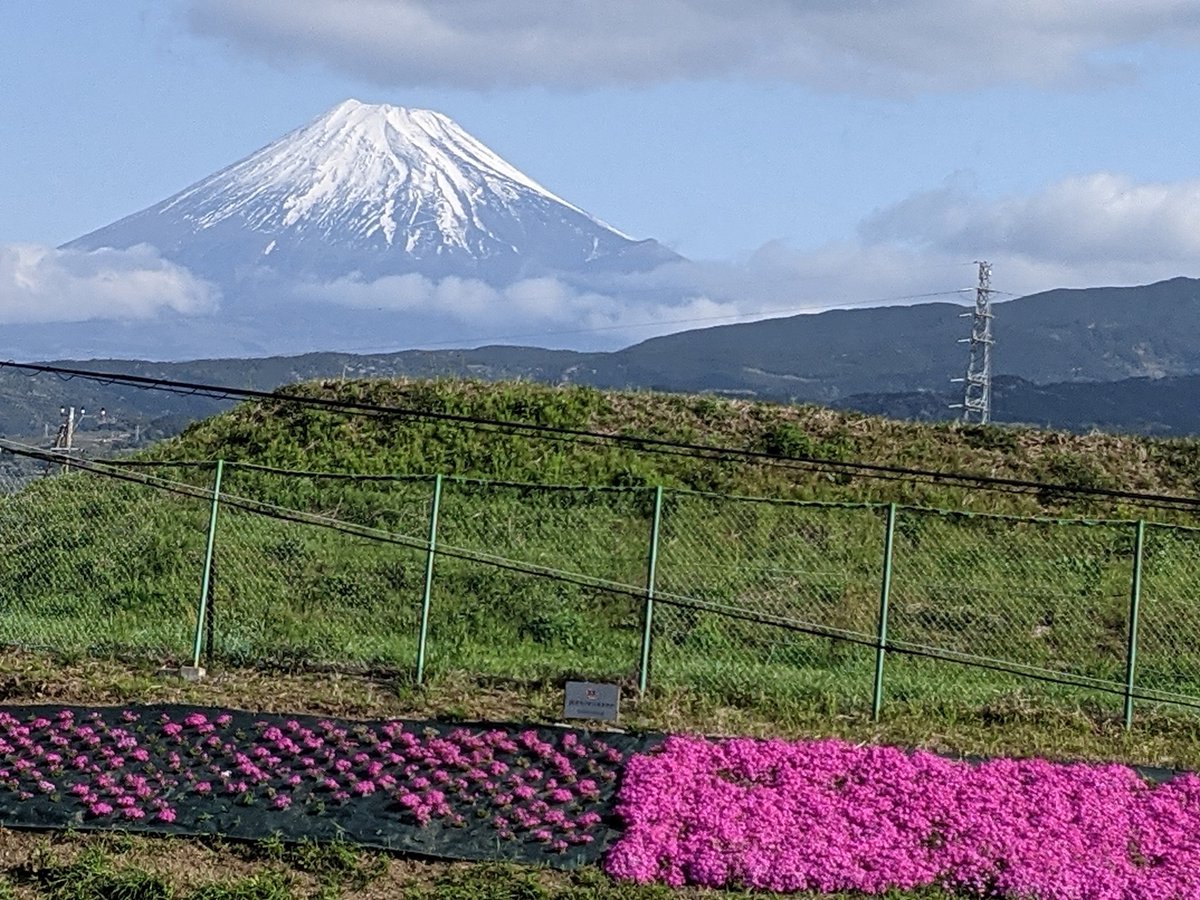 Wishing you a Happy new week 💐🤗

　　　　　📷by me