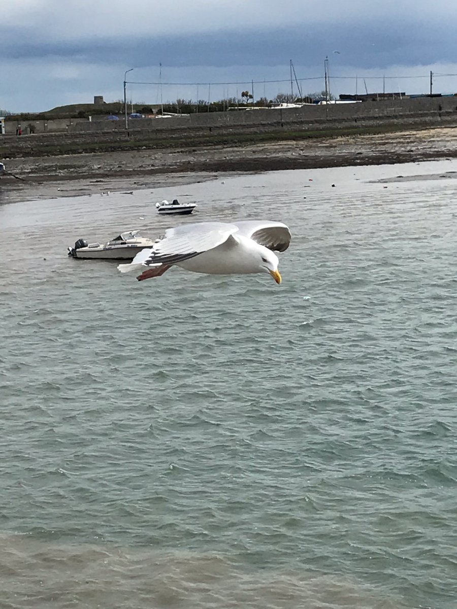 Skerries Community College Photography Club tweet media