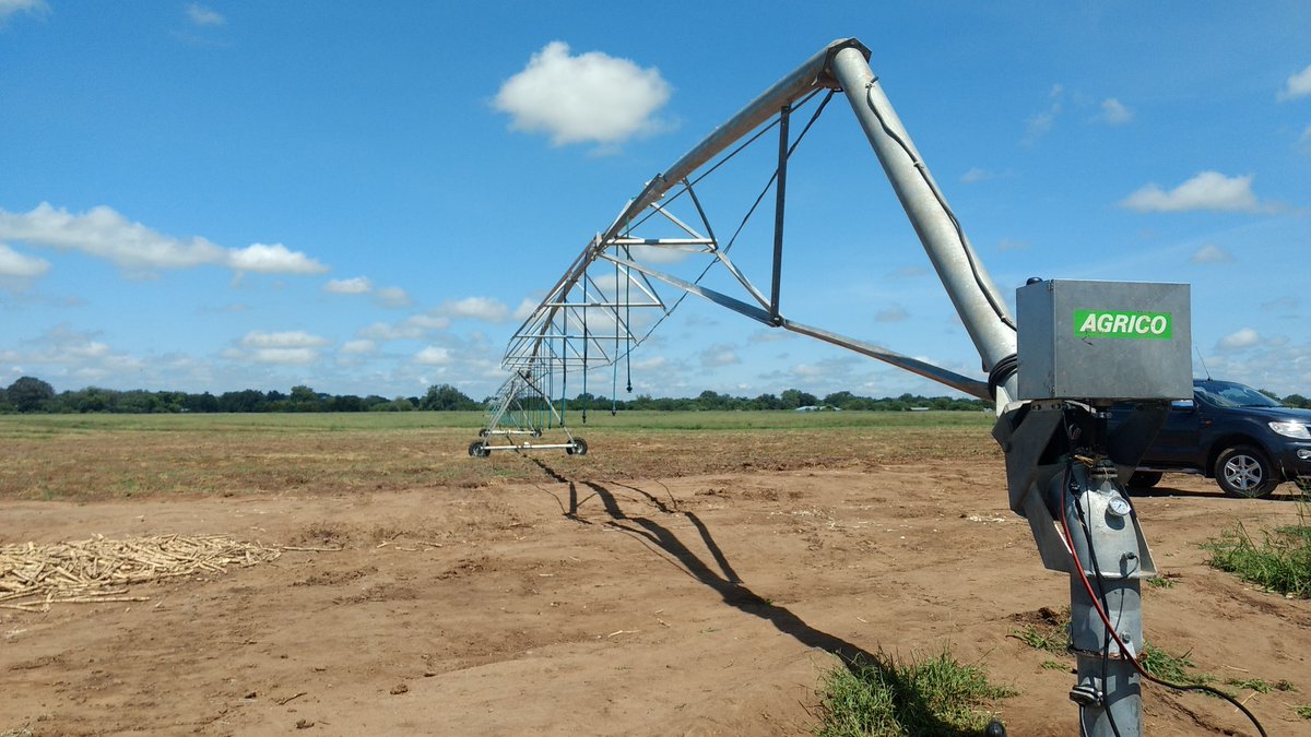 MICF_Malawi's tweet photo. #Innovation in the supply chain and the effective use of irrigation transformed the #livelihoods of the Mwitha Cooperative who now can supply sugarcane to #Presscane for ethanol production. @undpmalawi @UKinMalawi Read more in the latest #MICF case study: https://t.co/DNWWT1TNiM https://t.co/7MWLSrF3nw