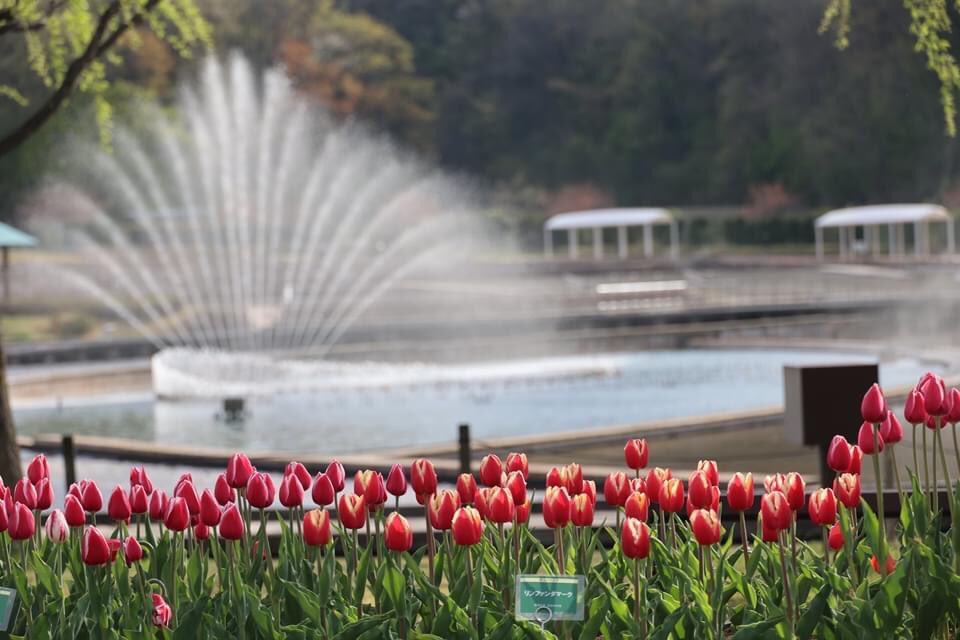 国営越後丘陵公園 公式 Echigo Park Twitter