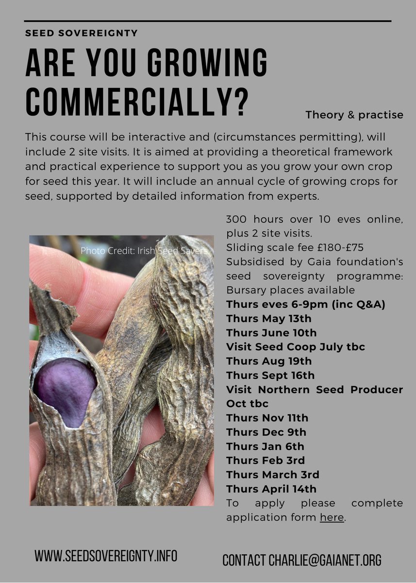 Calling northern England growers! New intermediate seed production course starting next month. We accompany you on your seed growing journey this year. Apply here ow.ly/iNH750ErODE