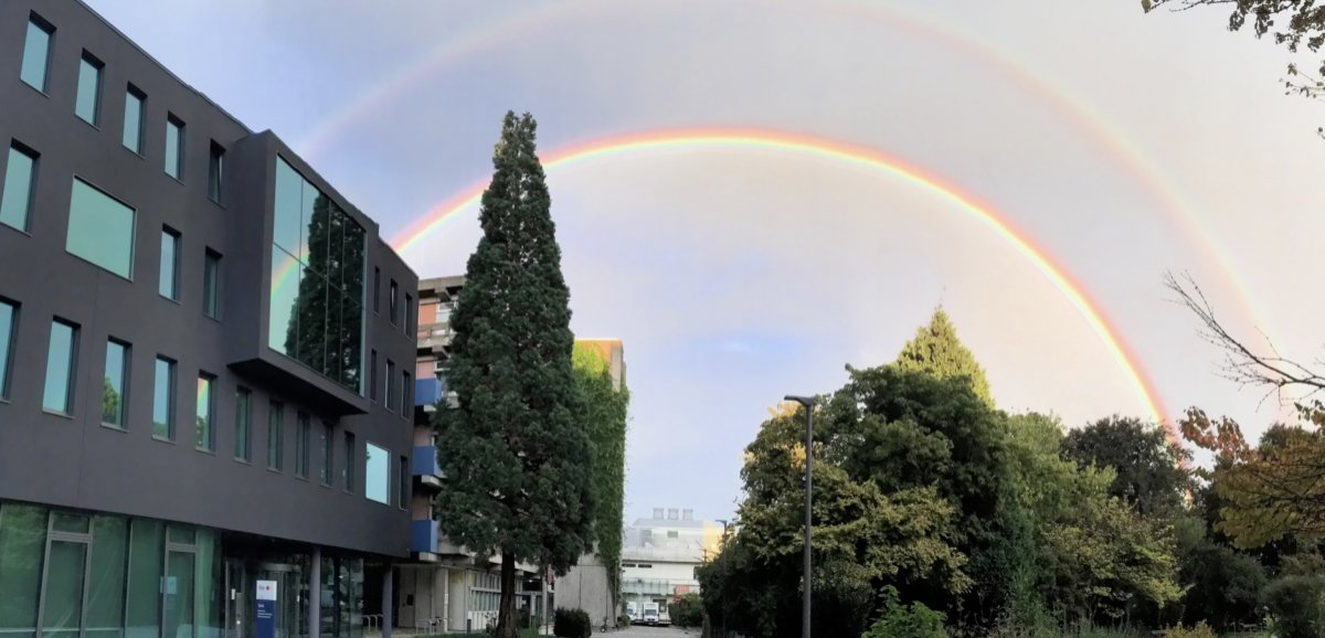 Join us on May 6+7 for our online symposium featuring talks on parasites by amazing <a href="/marietabernabeu/">Maria Bernabeu</a>, Isabelle <a href="/TardieuXlab/">TardieuXlab</a>, @GanterMarkus, <a href="/vicky_ingham1/">Vicky Ingham</a> + Boris <a href="/striepenlab/">Boris Striepen</a> as well as on viruses by e.g. John <a href="/BriggsGroup/">John Briggs</a>. For info+registration:    
sfb1129.de/05-events/symp…