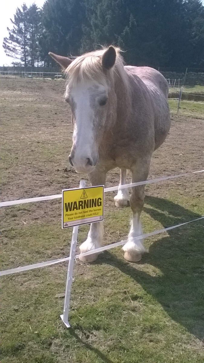 Great to see our signs out helping keep horses healthy. #Petplates #Stable #kennel #nameplate #nameplaque #dontfeedhorses