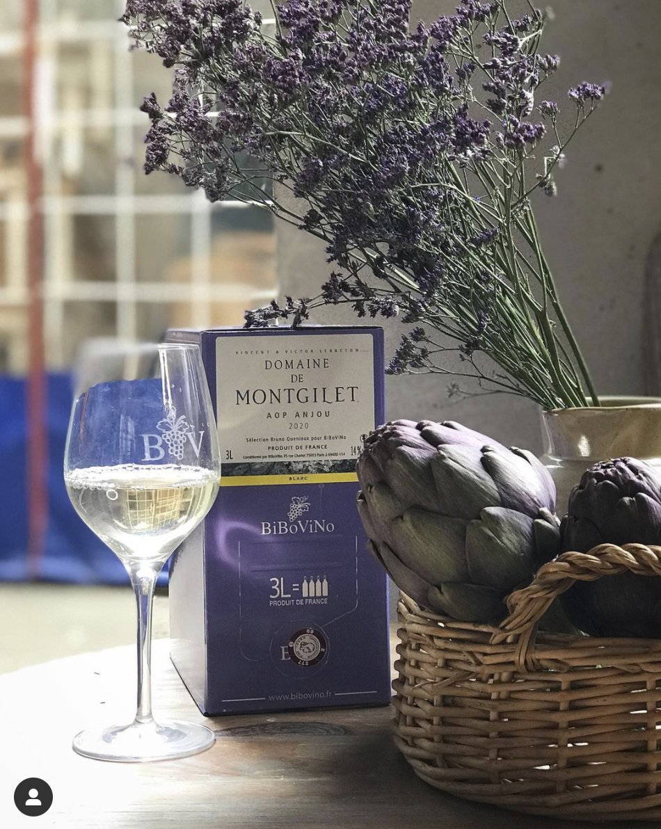 BiBoViNo tweet media