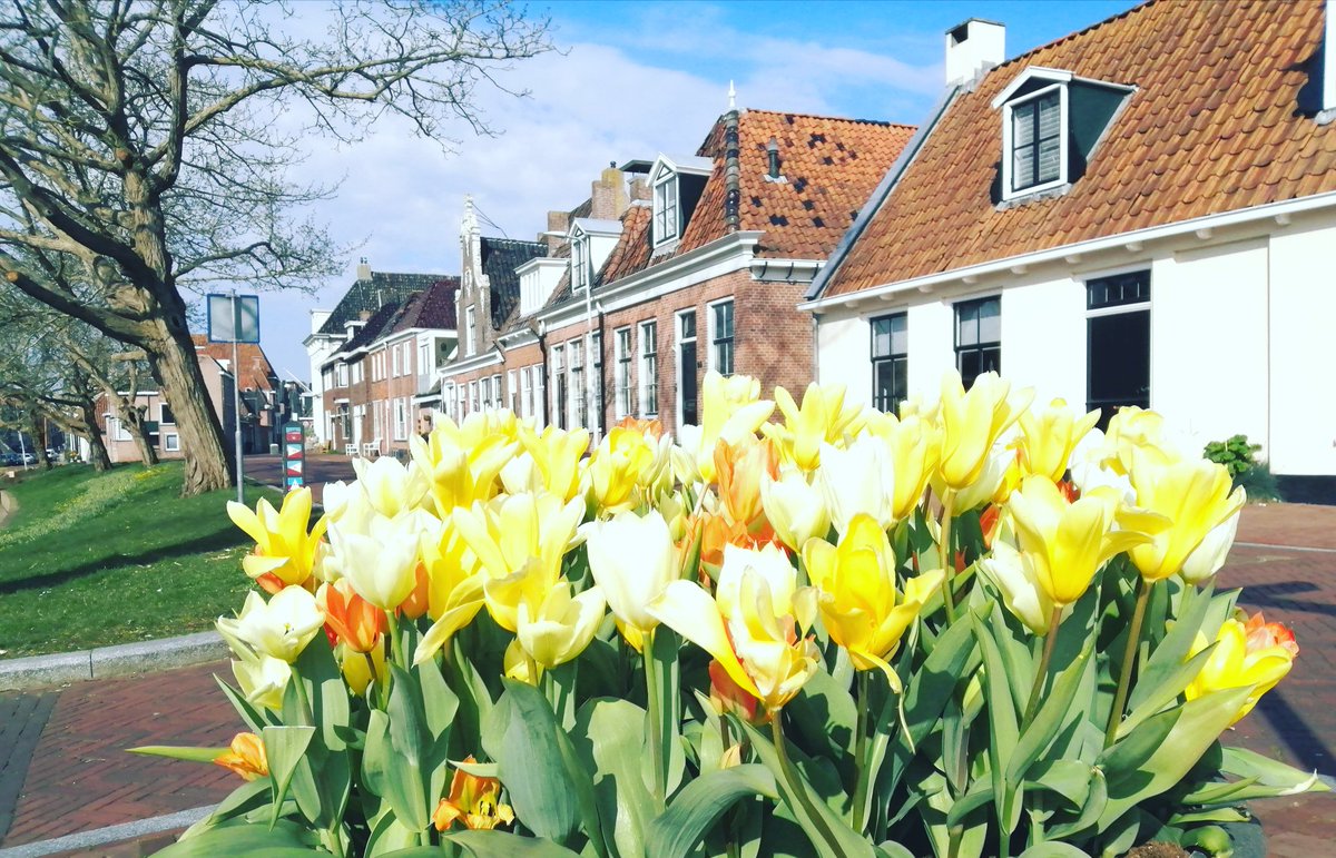 #dokkum #lente#friesland #holland #netherland