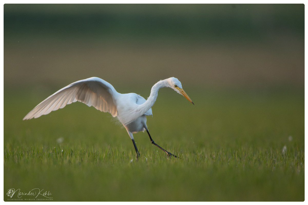 Stay Safe, Stay Positive !!