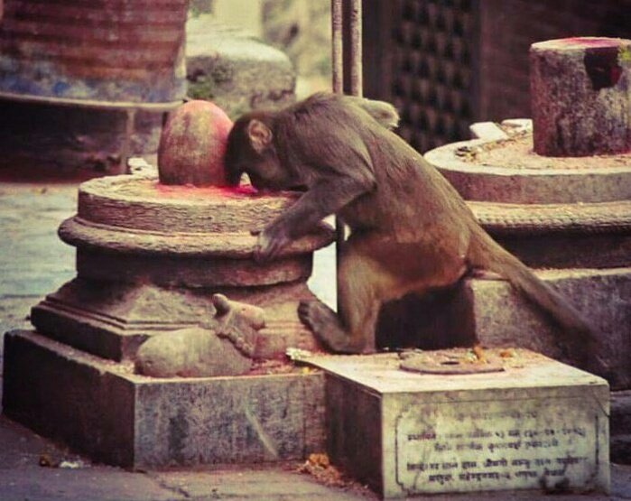 rakeshhh73's tweet photo. Har Har Mahadev....🙇🙏 https://t.co/Fwa5bfKTwV