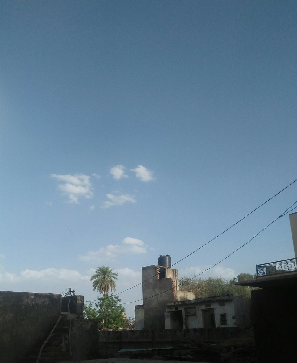 rakeshhh73's tweet photo. Mother Nature 💜✨
#Rajasthan #gaav #nature https://t.co/vYRtxvliHF