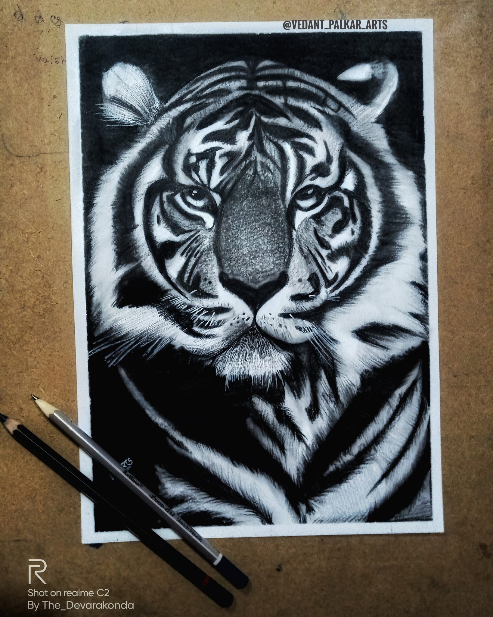 Aggregate more than 76 tiger pencil sketch images super hot - seven.edu.vn