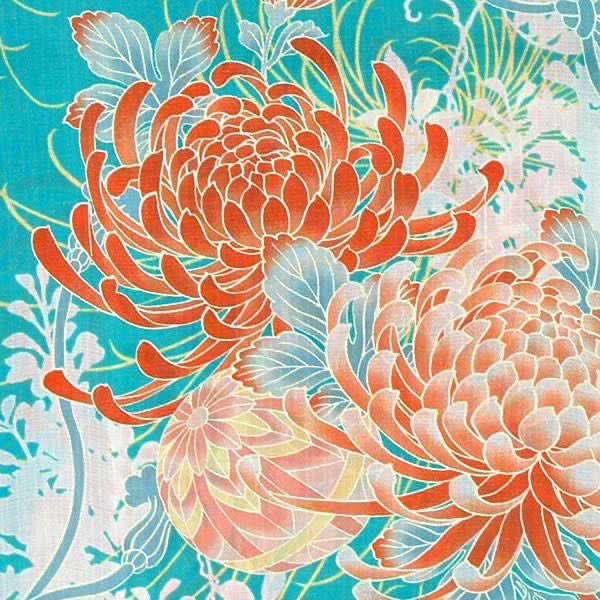 In Japan the chrysanthemum is called Kiku, which means evening sun. 
The chrysanthemum is the national flower of Japan. In Japan, chrysanthemums are a symbol of immortality and perfection, because they bloom in autumn when other flowers have already withered.

 #MythologyMonday