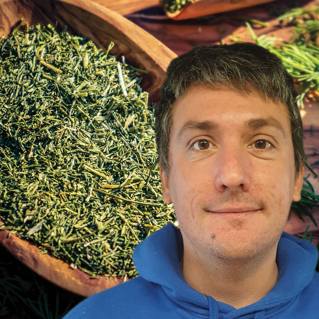 profumi della vita...
Aneto ....questo sconosciuto
I suoi piccoli fiori gialli sono la sua caratteristica. Ottima spezia simile al finocchio e all’anice possiede anche qualità curative. Subito da provare! Ne rimarrete estasiati...
bbqmagazine.it