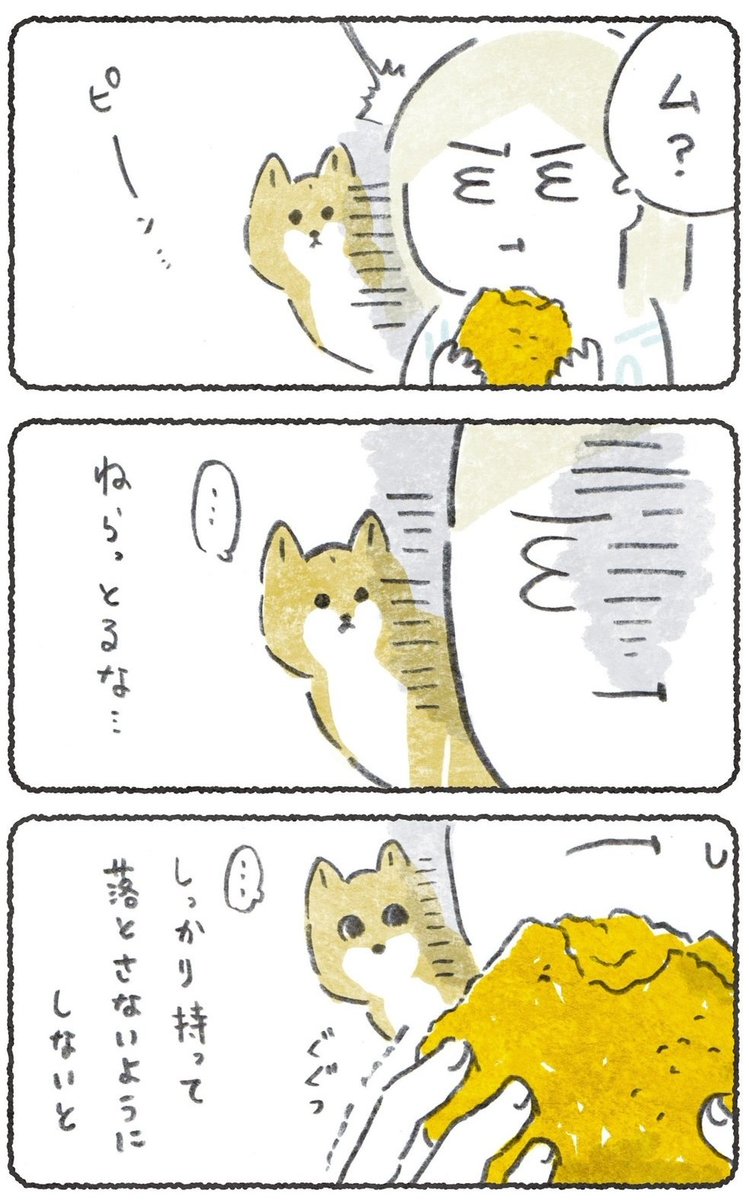 ドキドキ・・
ケンチキとか前のめりで食べちゃいます・・・

(1/2)

#豆しばこつぶ 