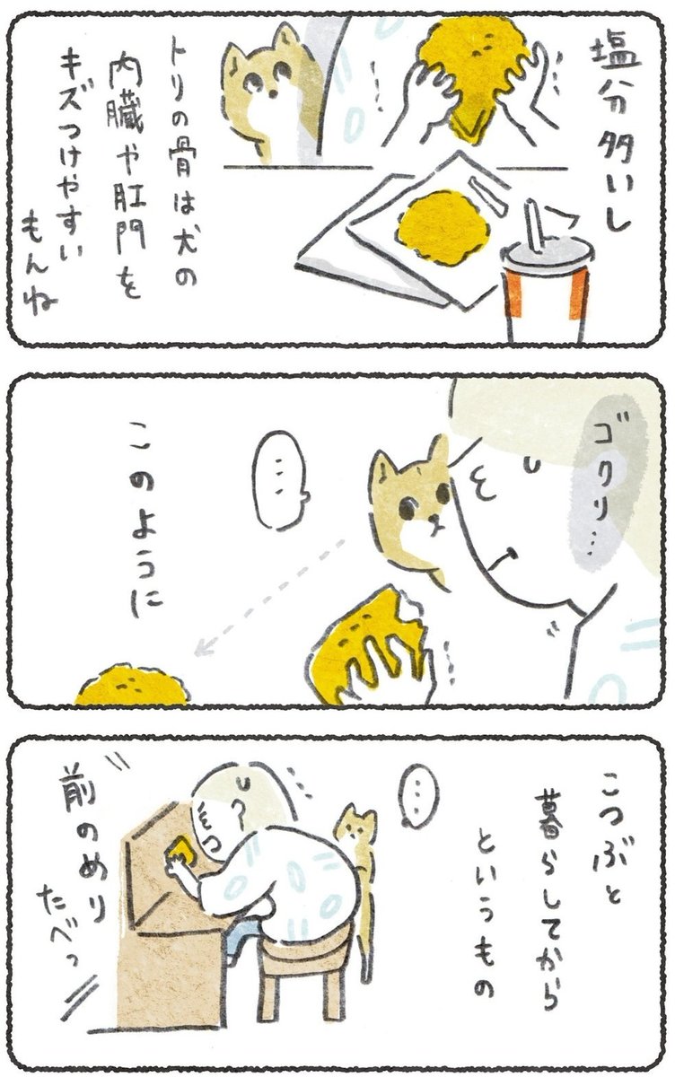 ドキドキ・・
ケンチキとか前のめりで食べちゃいます・・・

(1/2)

#豆しばこつぶ 