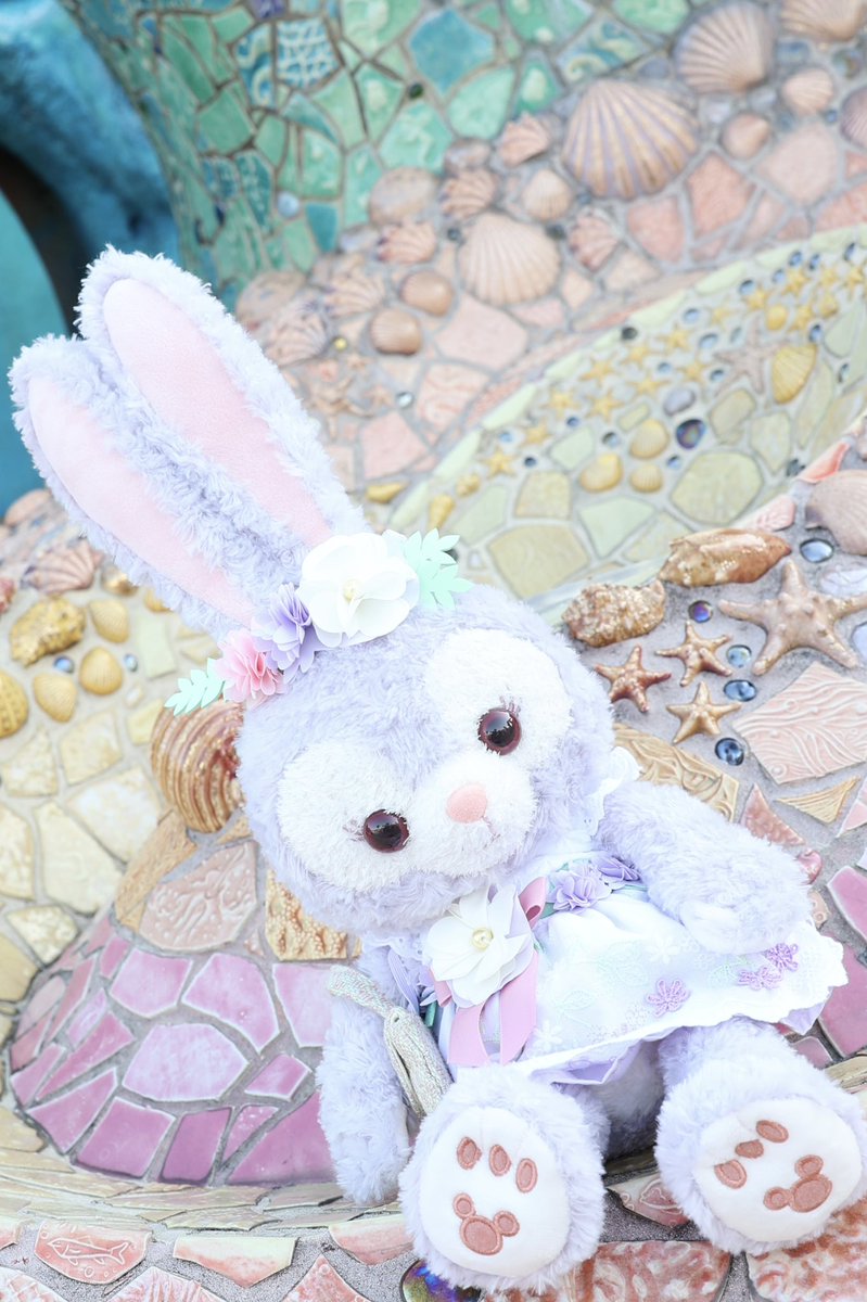 _dd0109 tweet picture