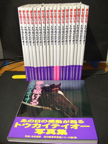 夢を駆ける トウカイテイオー」が多数発掘されました。 トレーナーの