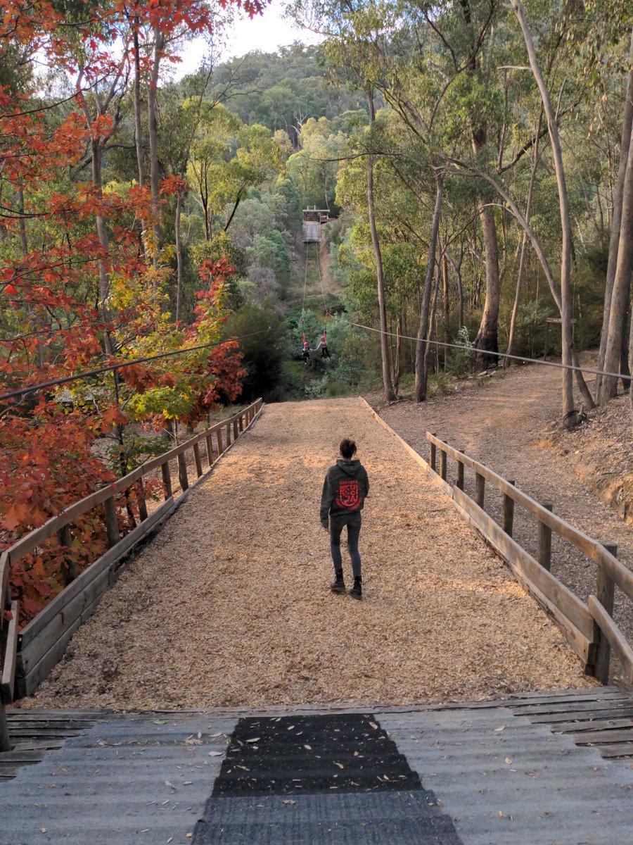 St Anne's PS (@stannespo) on Twitter photo 