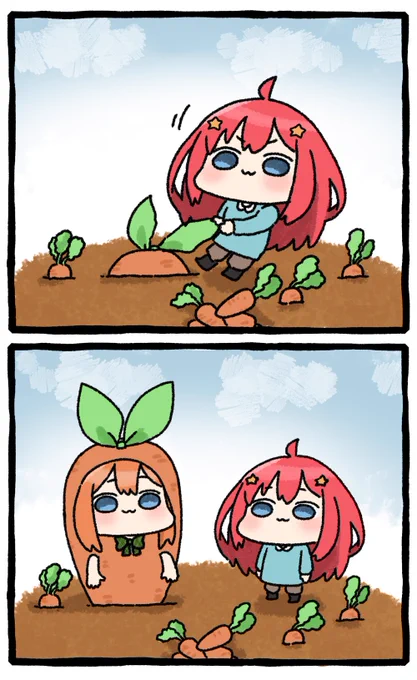 にんじん畑 
