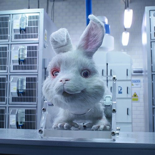 nangiibabaw's tweet image. ‼️ tw // animal cruelty &amp;amp; abuse ‼️

— AN INFORMATIVE THREAD ON WHAT’S #SaveRalph ALL ABOUT 

#UseScienceNotAnimals 

ct: @HSIGlobal