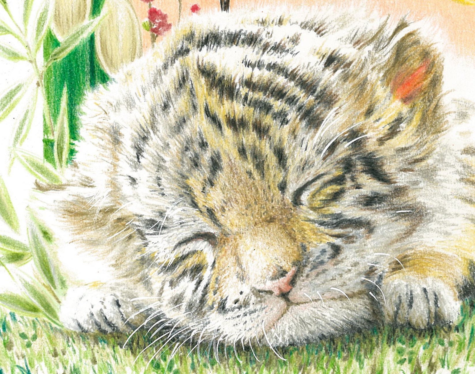 雨色 色鉛筆で虎の赤ちゃん描きました 色鉛筆画 イラスト 虎 動物イラスト T Co Bj5pgg3km2 Twitter