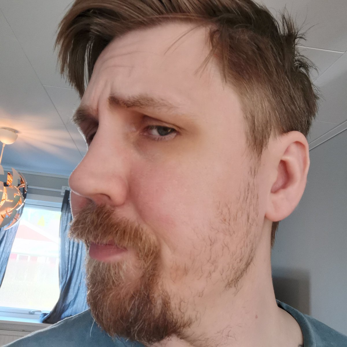 When the rest of you is middleclass but your beard is white trash