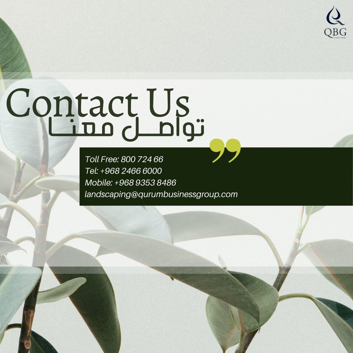 qbgllc's tweet photo. القرم للخدمات الزراعية، فريق متكامل في ادارة الزراعة والتشجير والصيانة الدورية للنباتات الداخلية والحدائق، متميزون بتوفير أنظمة ري حديثة وفعالة من حيث التكلفة، نعمل بجد لارضاء جميع عملائنا واضافة لمسة الحياة في ارجاء المؤسسة أو المنزل. https://t.co/3W5EdjwLdj