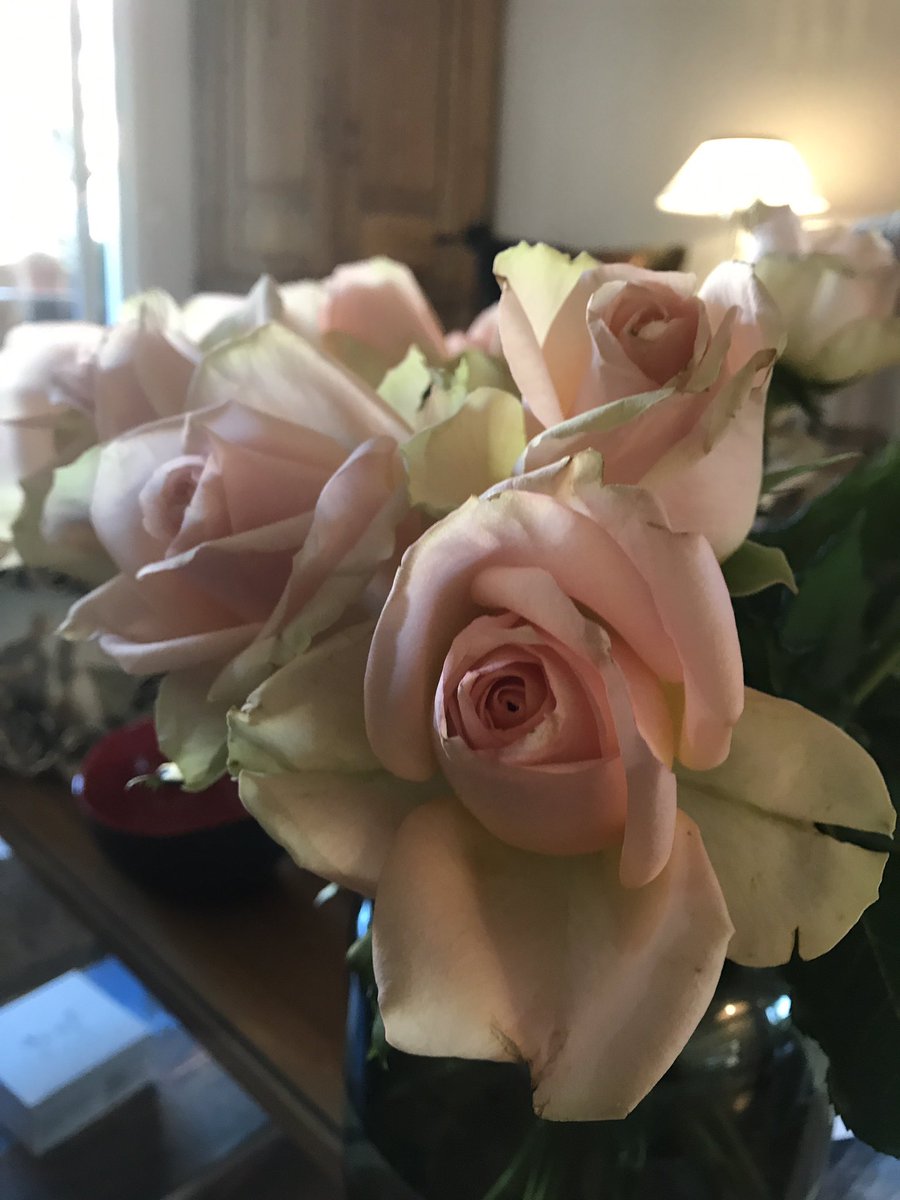 Good morning everyone at #TheBreakfastClub My beautiful flowers are wishing us a good Monday.  I hope everyone is starting the new week as fresh at these roses. #HappyMonday @DinahLiversidge @dianabrandl @ChrisWMenzel <a href="/anelmartin/">Martín Añel</a> <a href="/lucybrazier/">Lucy Brazier OBE</a> <a href="/AriniVlot/">Arini Vlotman / Author</a> <a href="/Lizkolokogreen/">Lizebeth Koloko-Green👩🏾‍💻</a>