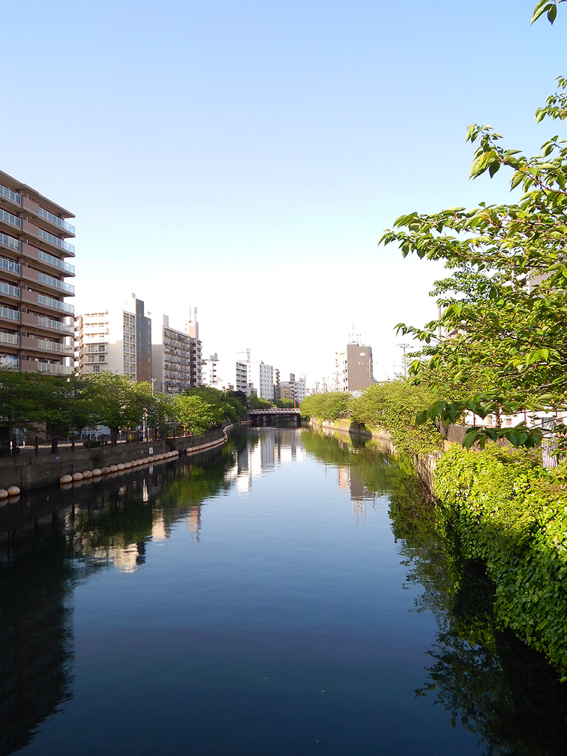 今朝の横浜は雲ひとつないピカピカの青空！桜の季節が終わって一気に新緑の季節に向かっています。
instagram.com/p/CN09LmNJbg4/
#新緑 #雲ひとつない青空 #freshgreen #river #riverphotography