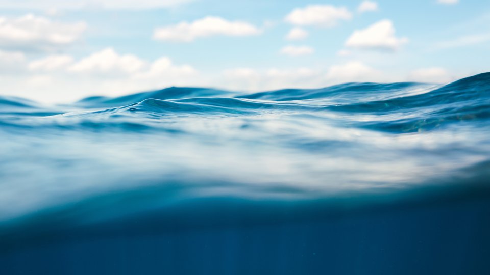 🆕 Ahead of #CoP15 &amp; <a href="/COP26/">COP26</a>, discover the EU plans for #OurOcean 🌊

On 20 April, join the 3rd 🇪🇺 International Ocean Governance Forum with Commissioner <a href="/VSinkevicius/">Virginijus Sinkevičius</a> &amp; 🇺🇸 <a href="/JohnKerry/">John Kerry</a> 

Interact with #IOGForum

3rd-iog-forum.fresh-thoughts.eu

#EUBiodiversity #MissionOcean #OceanEU #SDG14