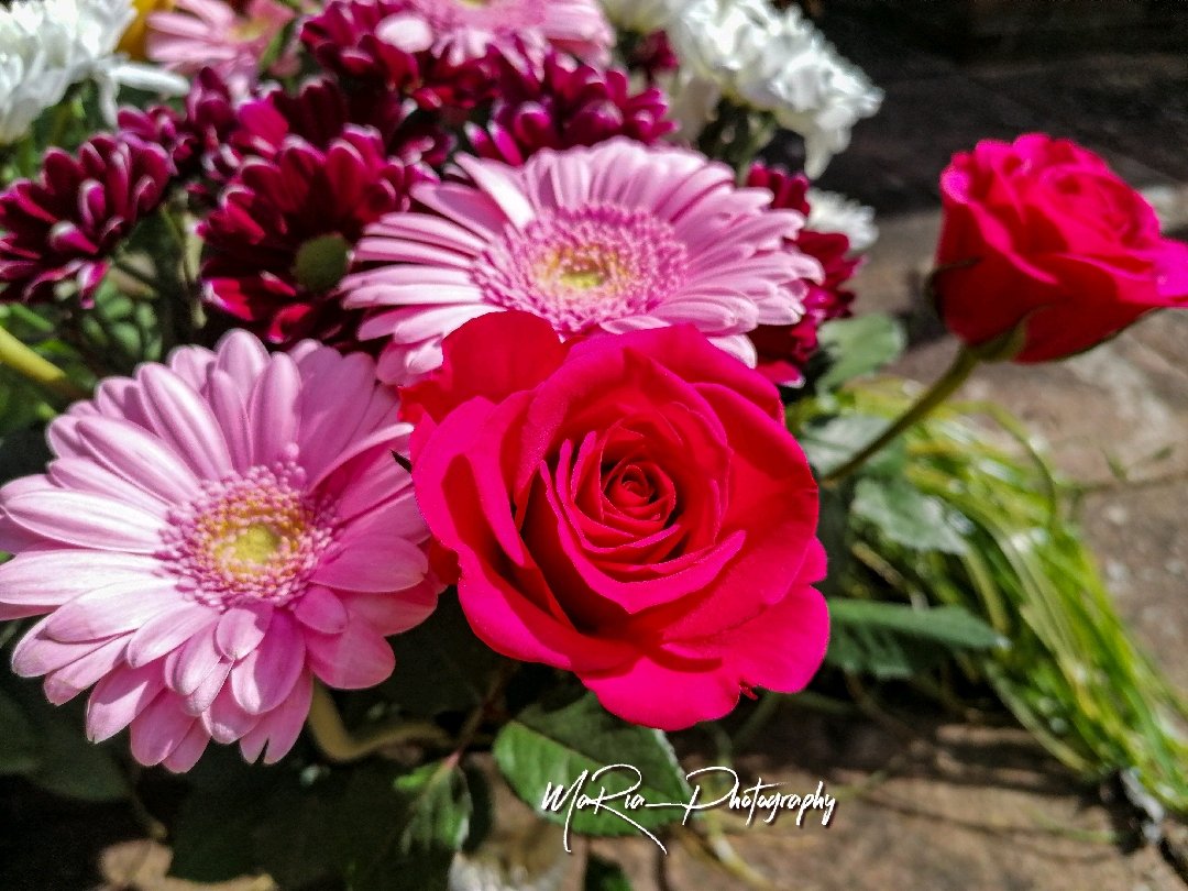 5weet_alpenfee's tweet image. Neue Woche!
Neues Glück! 
Du weißt, es ist Montag, wenn selbst dein Kaffee einen Kaffee braucht.
Hier leider wieder grau in grau &quot;Ambiente&quot; da draußen, aber ich bringe meine eigene Sonne mit. 
:¨·.·¨:
 `·. 🌸GMorgen und schönen Wochenstart!
   ❀❁♪♡︎☕..꧁꧂..☕♡︎♪❁❀