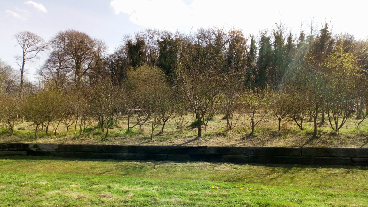 The Conservation Volunteers NI tweet media